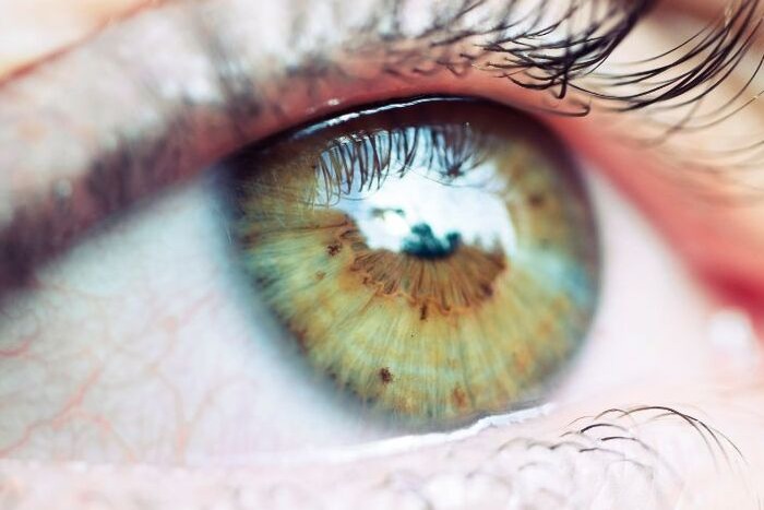 Córnea e Superfície Ocular